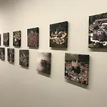 住宿加早餐酒店 Casa Soave 4*